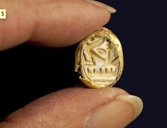Egyptian scarab encased in gold. Photograph: Clara Amit, courtesy of the Israel Antiquities Authority.